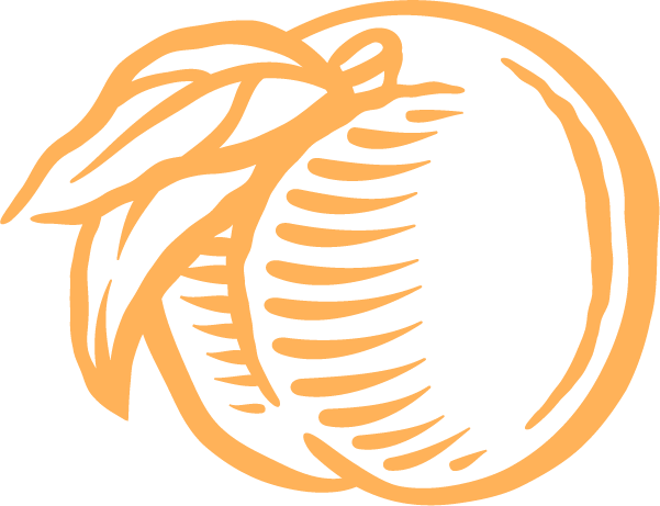 Flamm Orchards peach color peach icon logo