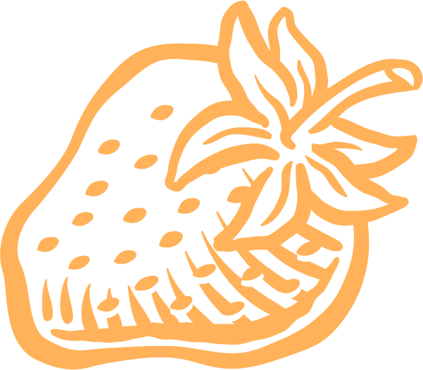 Flamm Orchards peach color strawberry icon logo