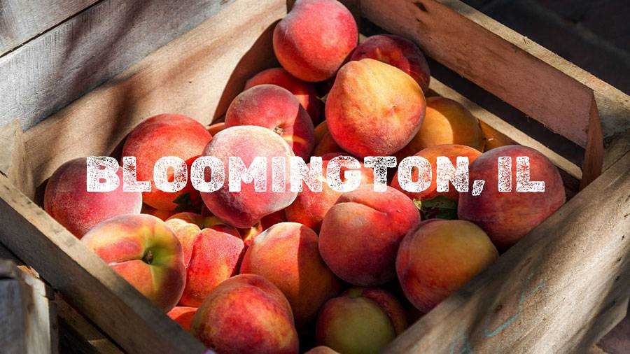 Flamm Peach Tour stop location Bloomington, IL