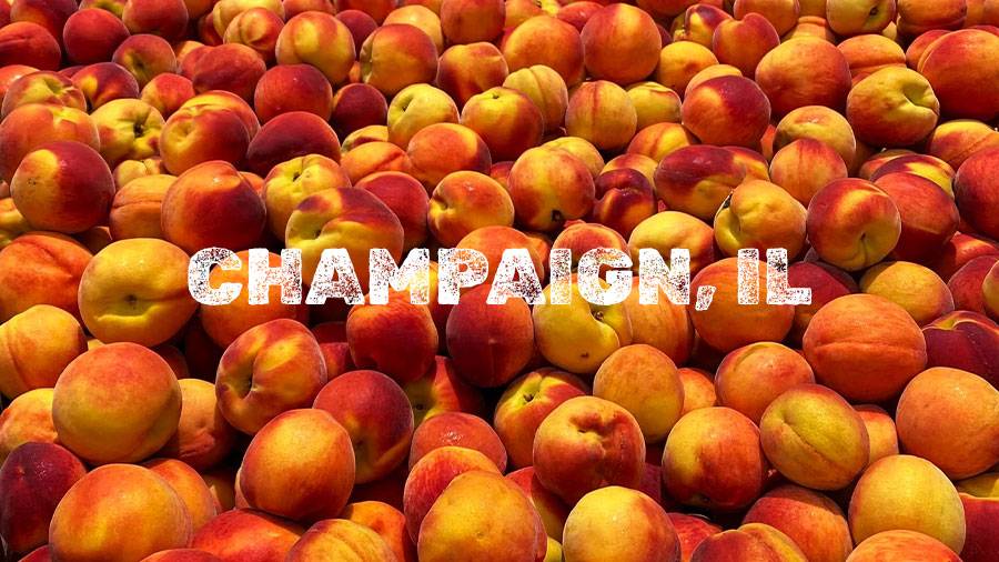 Flamm Peach Tour stop location Champaign, IL