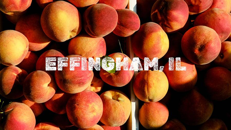 Flamm Peach Tour stop location Effingham, IL