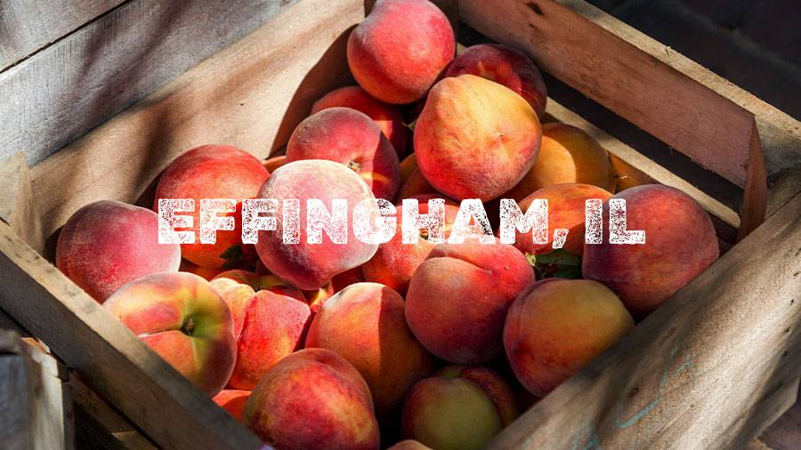 Flamm Peach Tour stop location Effingham, IL