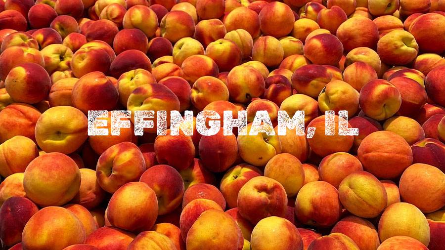 Flamm Peach Tour stop location Effingham, IL