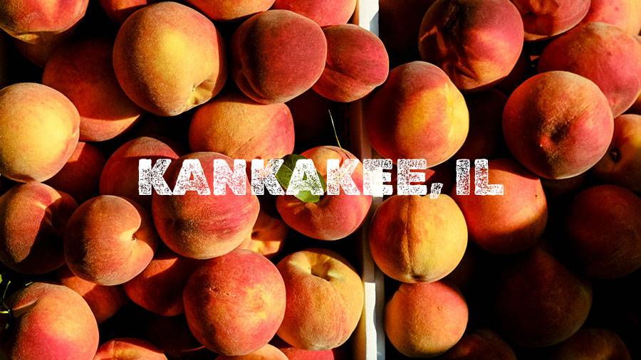 Flamm Peach Tour stop location Kankakee, IL
