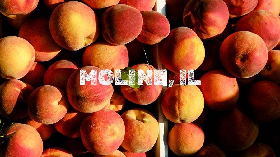 Flamm Peach Tour stop location Moline, IL