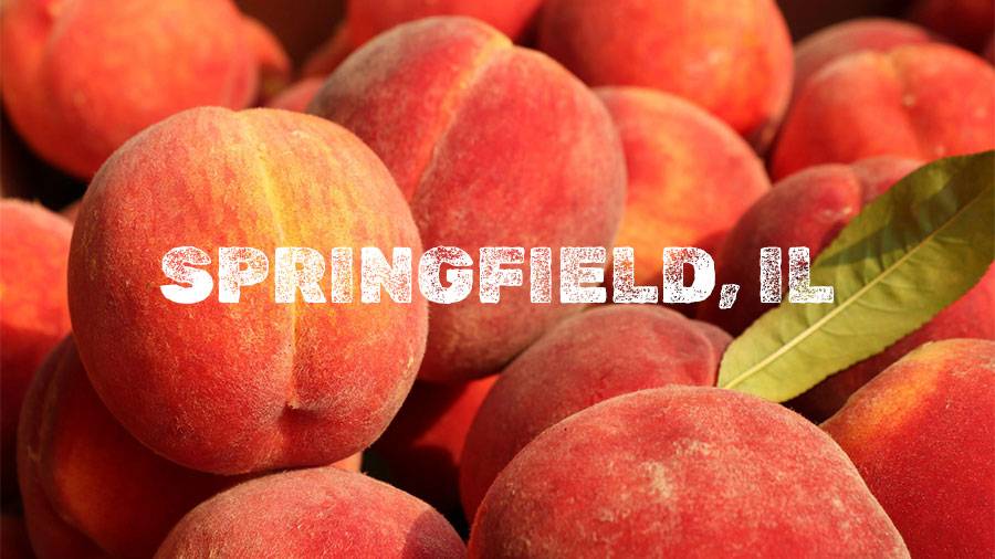 Flamm Peach Tour stop location Springfield, IL