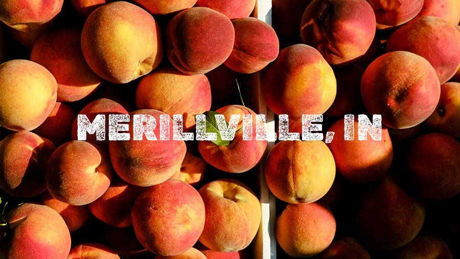 Flamm Peach Tour stop location Merillville, IN