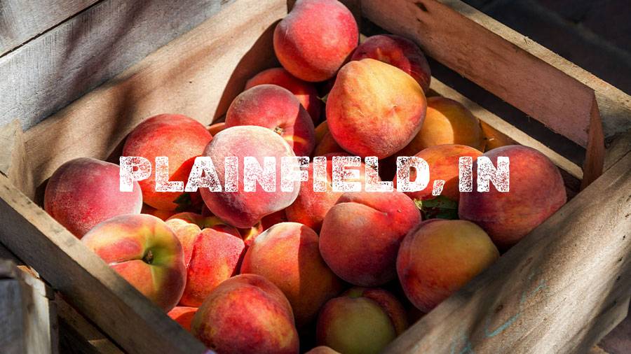Flamm Peach Tour stop location Plainfield, IN