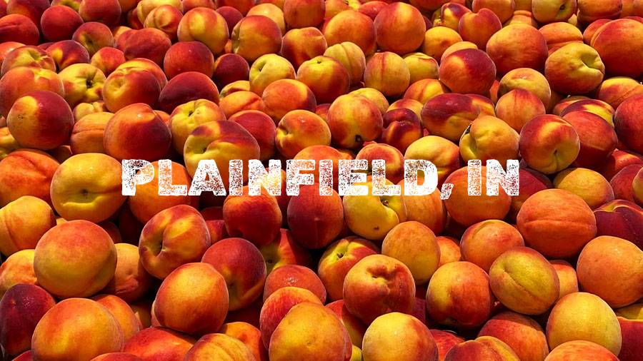 Flamm Peach Tour stop location Plainfield, IN